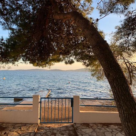 Seaside Apartment Padre Bibinje Bagian luar foto