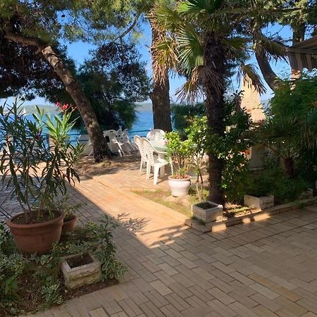 Seaside Apartment Padre Bibinje Bagian luar foto